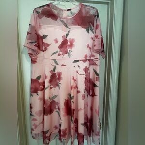 Floral Pink Sheer Dress
